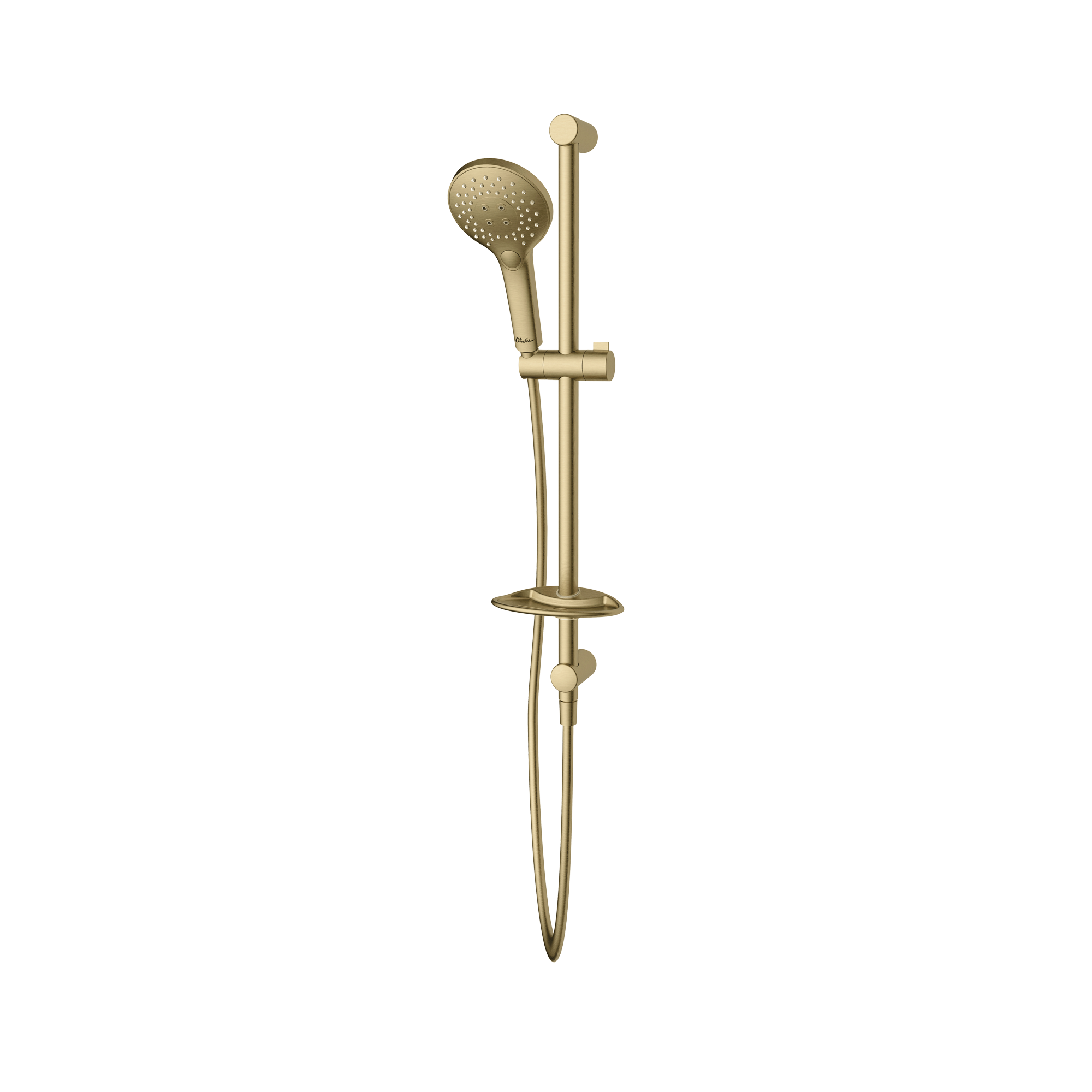 Rome Hand Shower With Rail