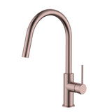Star Mini Pull-Out Kitchen Mixer