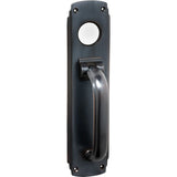 Deco Pull Handle / Knocker - H240xW60mm