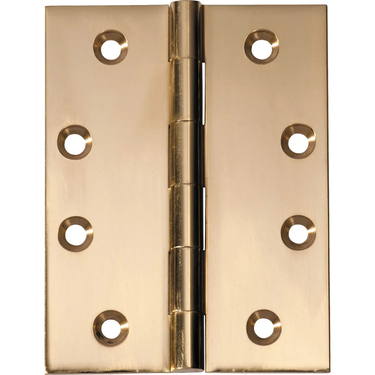 Fixed Pin Hinge - H100xW75mm