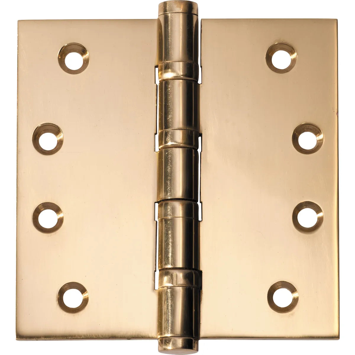 Ball Bearing Hinge - H100xW100mm