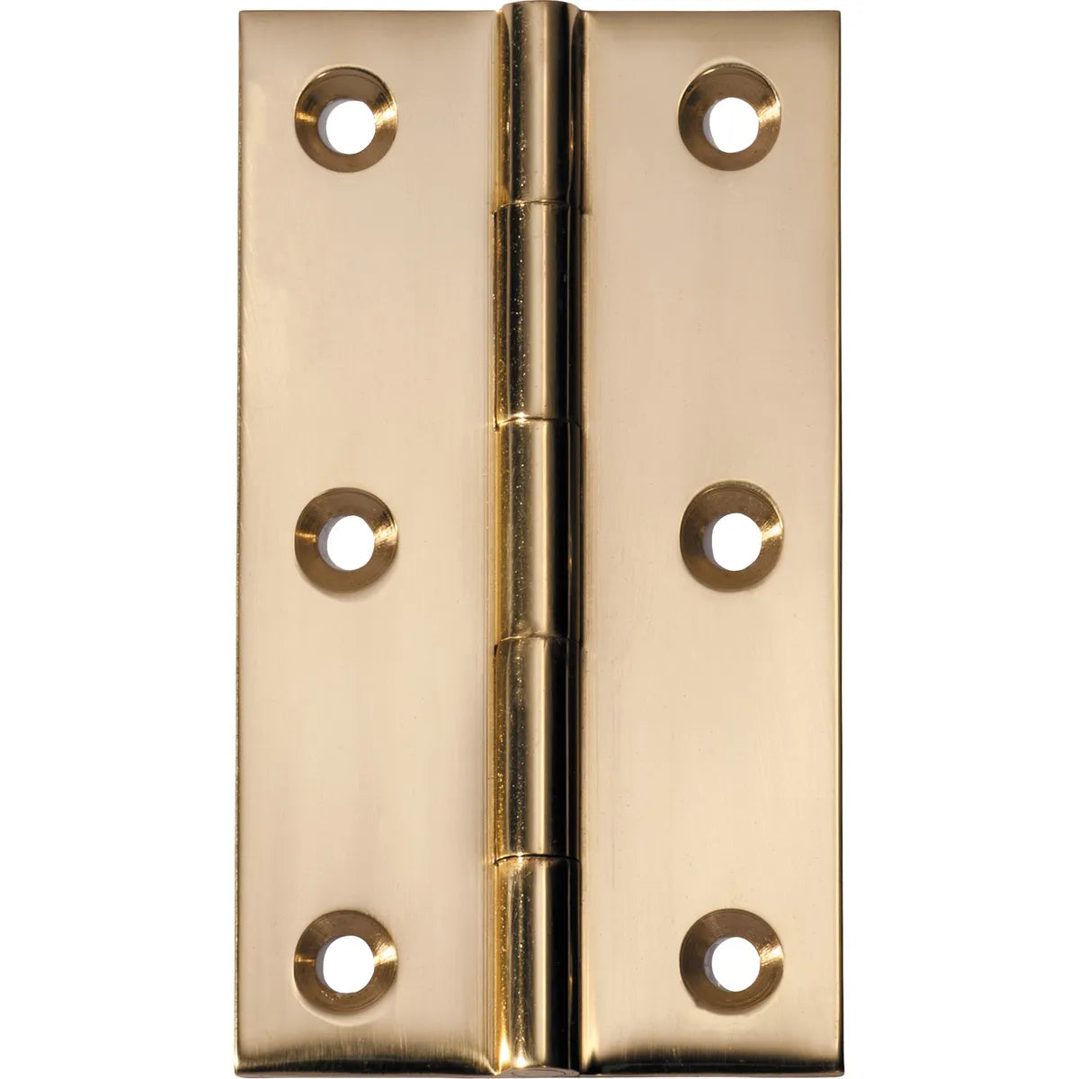 Fixed Pin Hinge - H89xW50mm