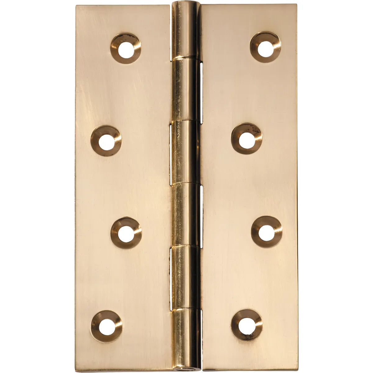 Fixed Pin Hinge - H100xW60mm