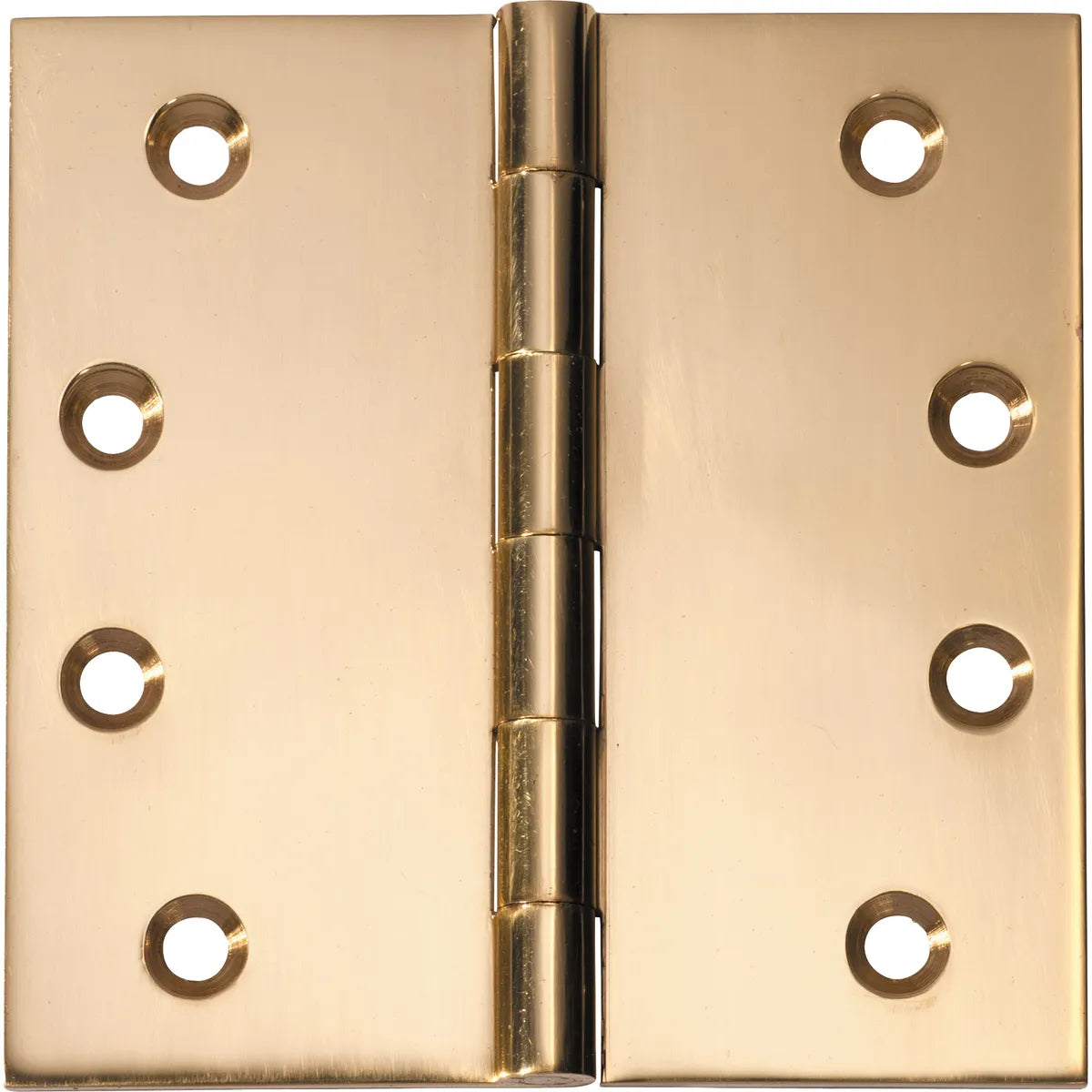 Fixed Pin Hinge - H100xW100mm