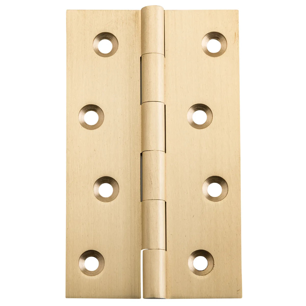 Fixed Pin Hinge - H100xW60mm