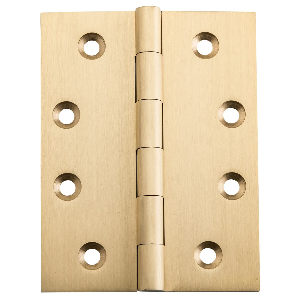 Fixed Pin Hinge - H100xW75mm