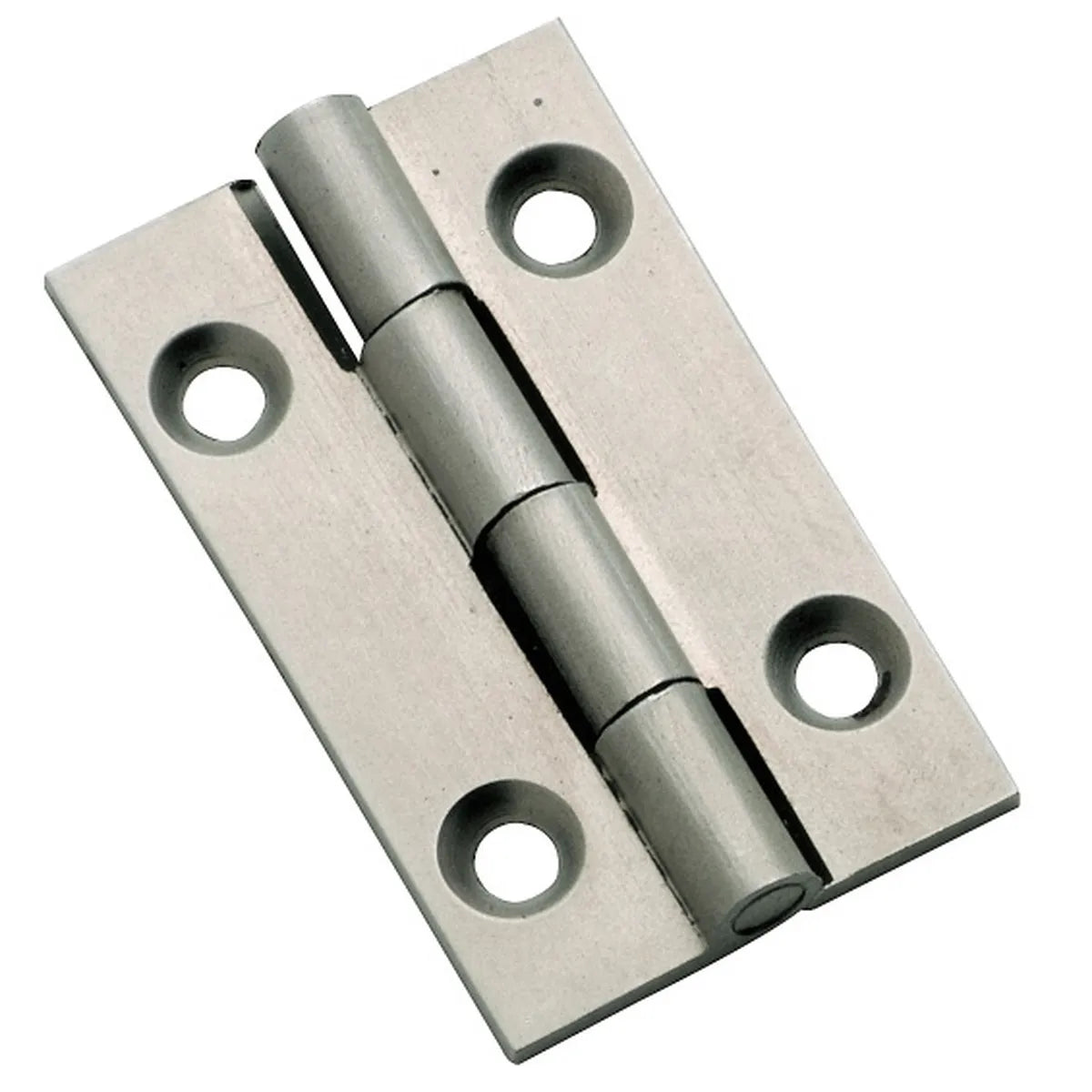 Fixed Pin Cabinet Hinge - H38xW22mm