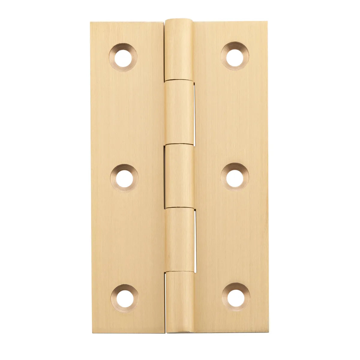 Fixed Pin Hinge - H89xW50mm