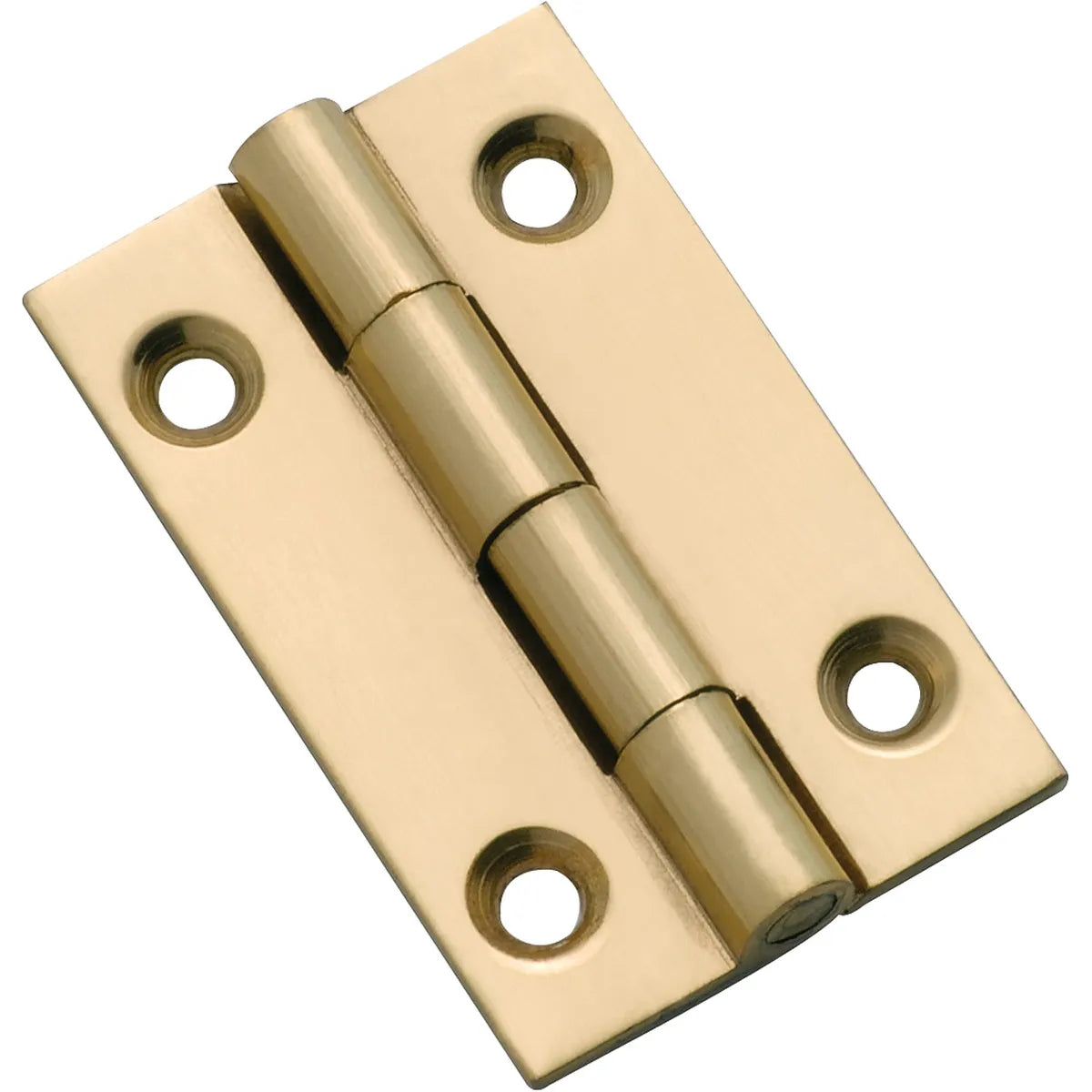 Fixed Pin Cabinet Hinge - H38xW22mm