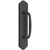 Offset Pull Handle on Backplate - H250xW50xP50mm