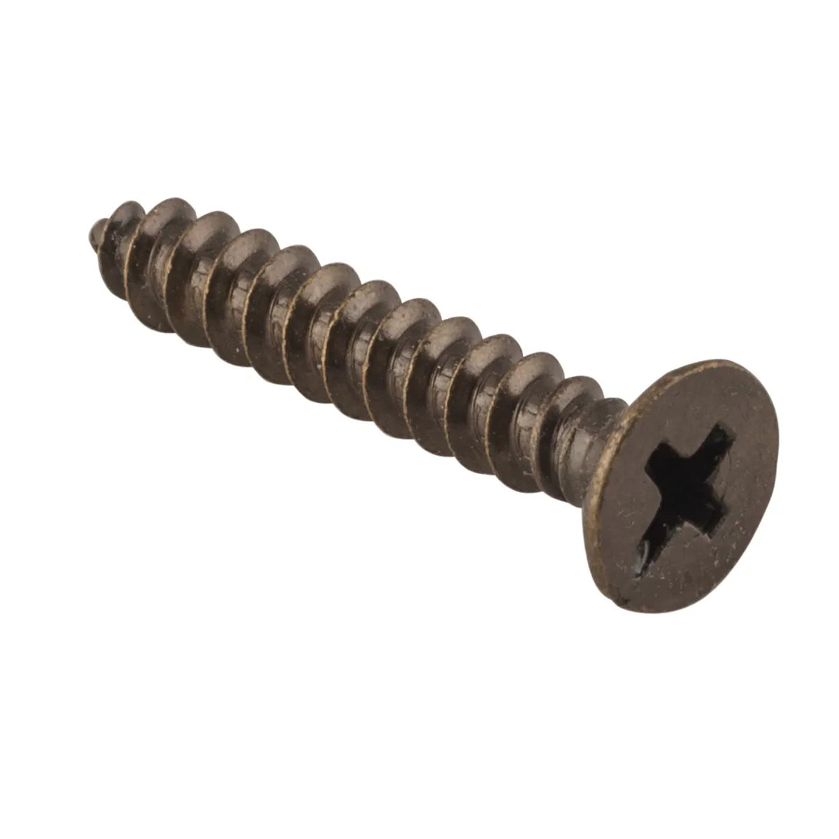 Hinge Screws - Stainless Steel L25mm 8 Gauge