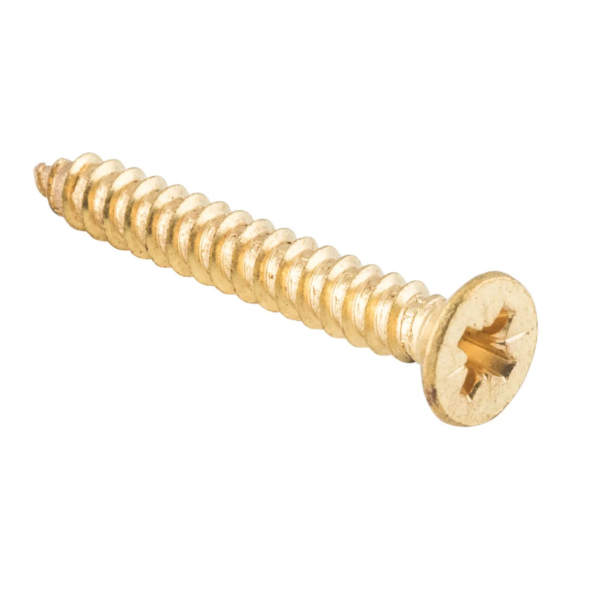 Hinge Screws - Stainless Steel L32mm 10 Gauge