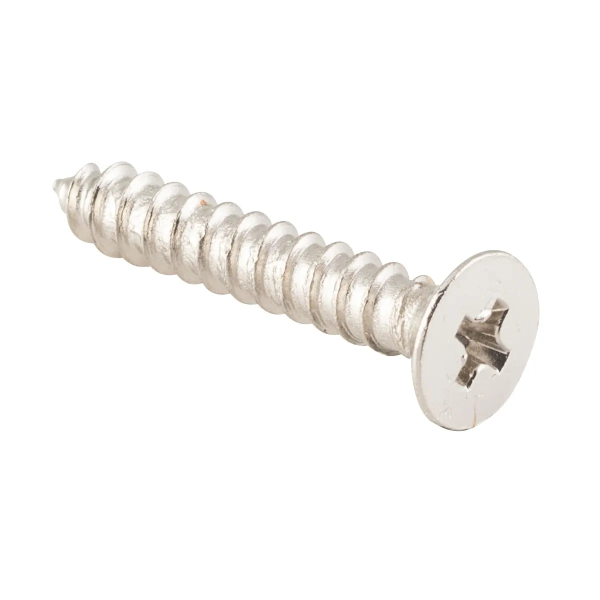 Hinge Screws - Stainless Steel L25mm 8 Gauge