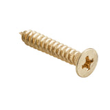 Hinge Screws - Stainless Steel L25mm 8 Gauge