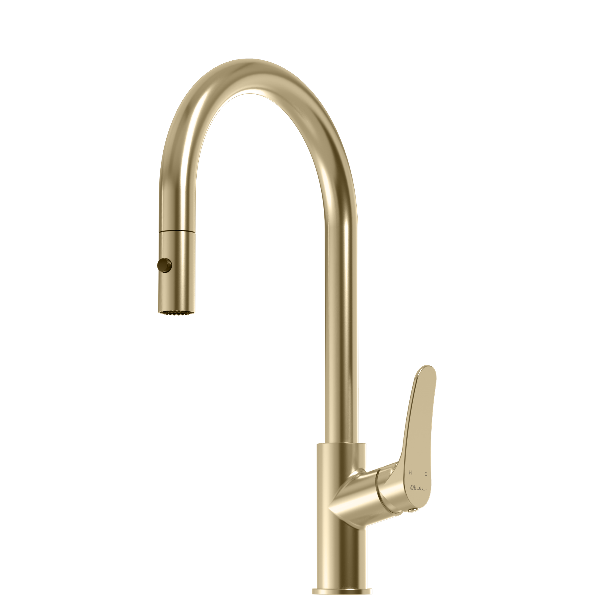 Verona Pull Out Goose Neck Spray Mixer
