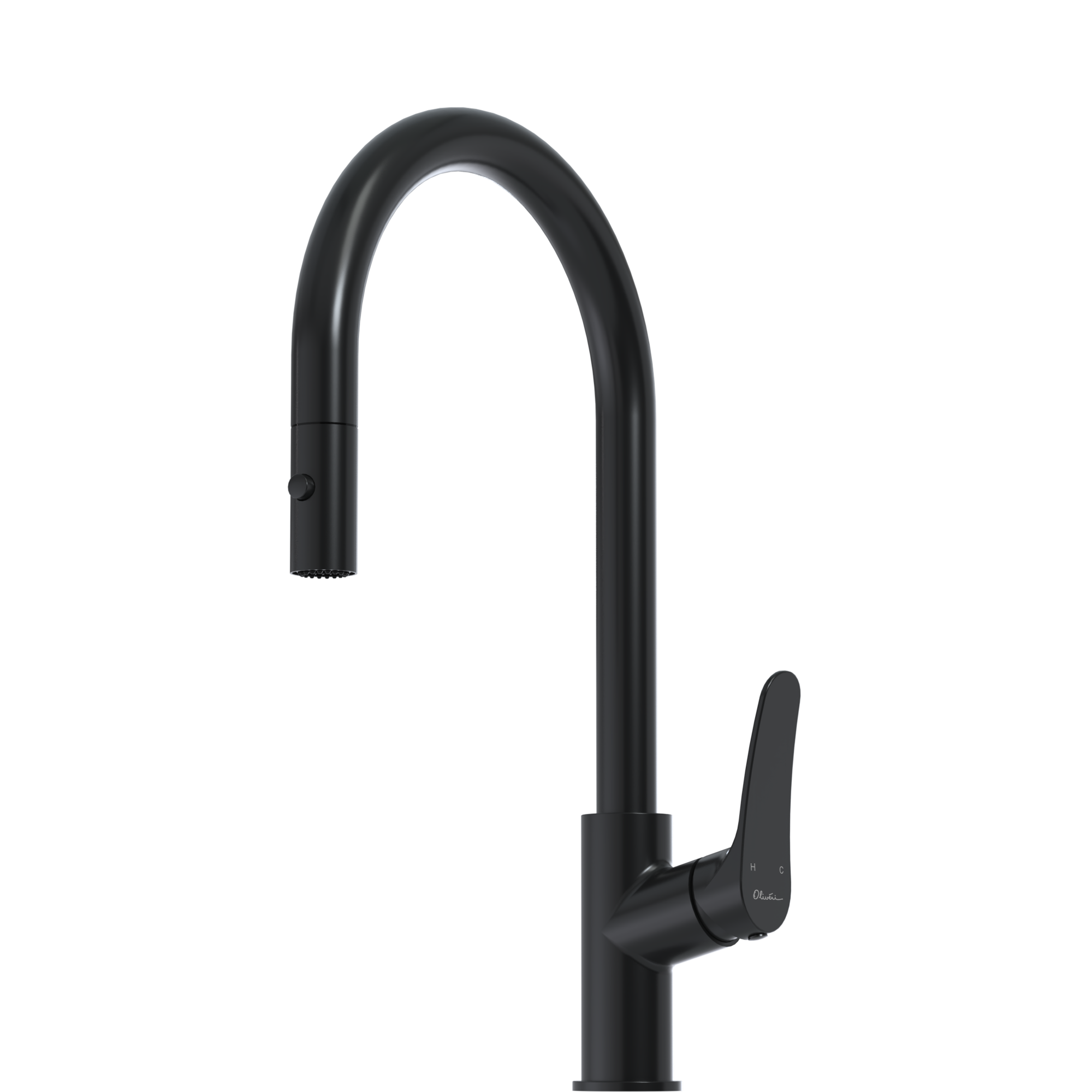 Verona Pull Out Goose Neck Spray Mixer