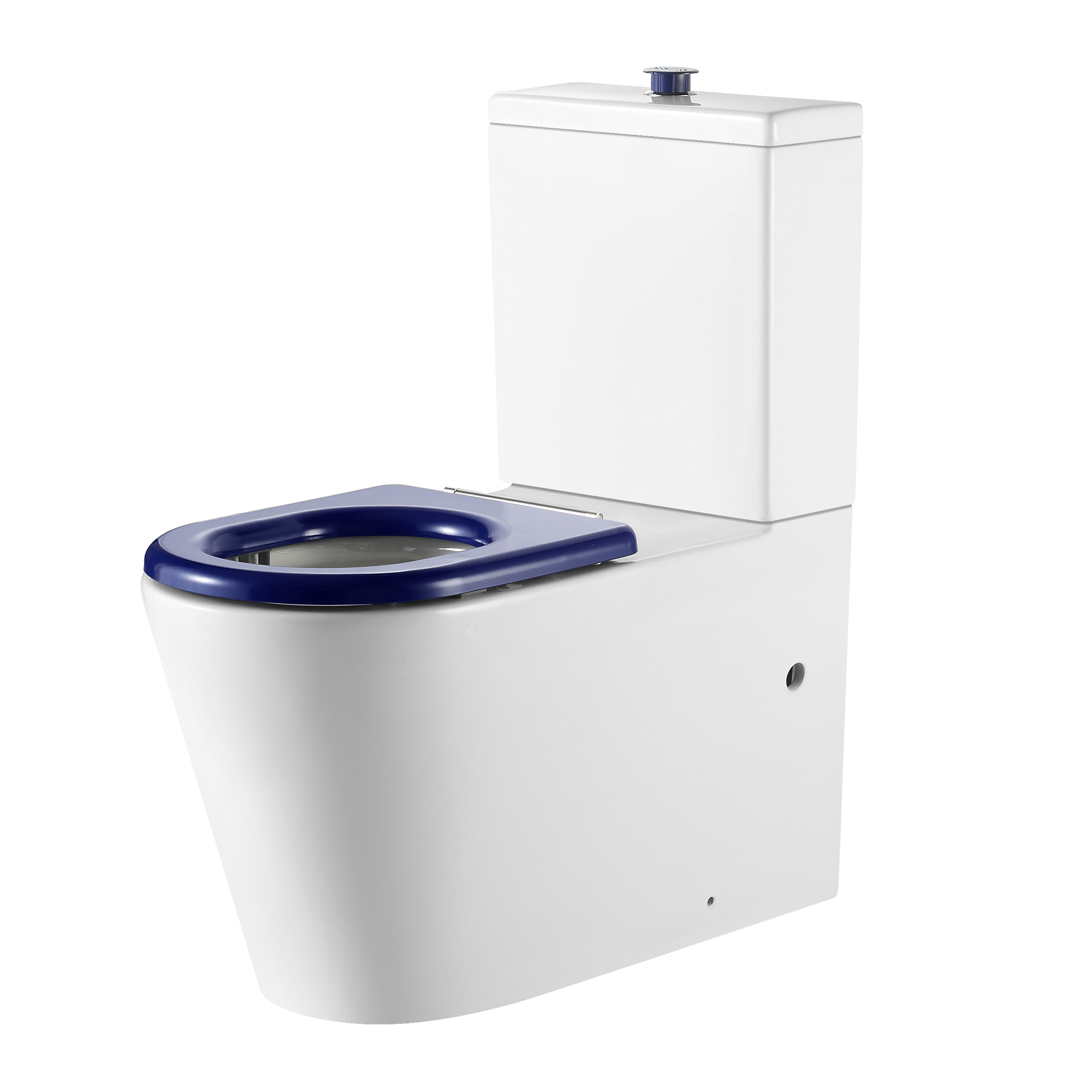 Vienna Back To Wall Care Toilet Suite With Blue Seat and Buttons