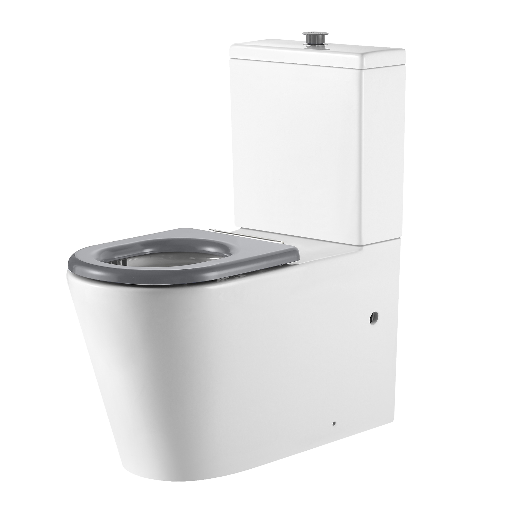 Vienna Back To Wall Care Toilet Suite With Grey Seat and Buttons