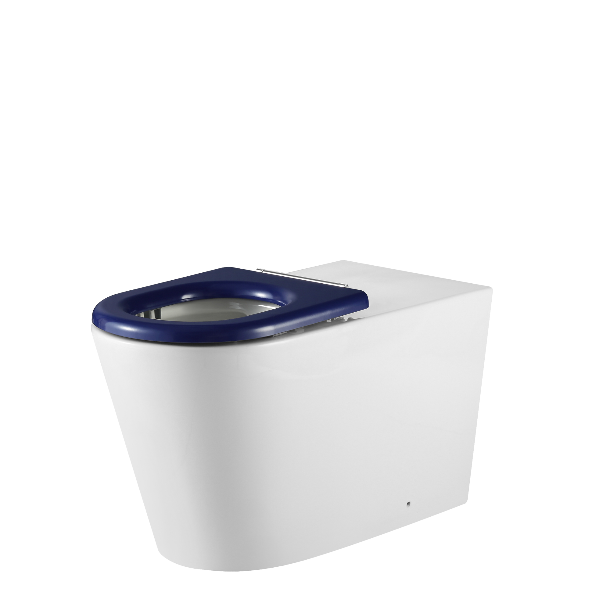 Vienna Wall Faced Care Toilet Suite With Blue Seat