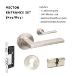 Vector
