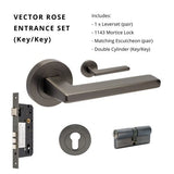 Vector – Graphite Nickel