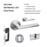 Vector
