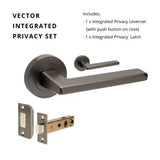 Vector – Graphite Nickel