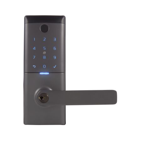 Gainsborough Mode Smart Entrance Lock in Graphite