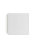 Matte White Swatch