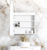LED Archie 900(H)x600(W) White Shaving Cabinet - Premium Edition