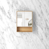 Byron 600x800 Woodland Oak Shaving Cabinet - front view