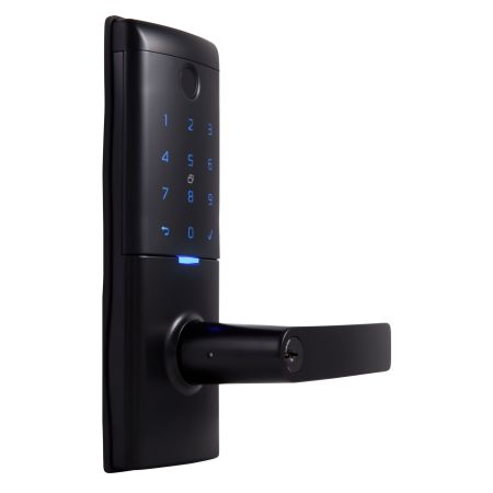 Gainsborough Mode Smart Entrance Lock in Black