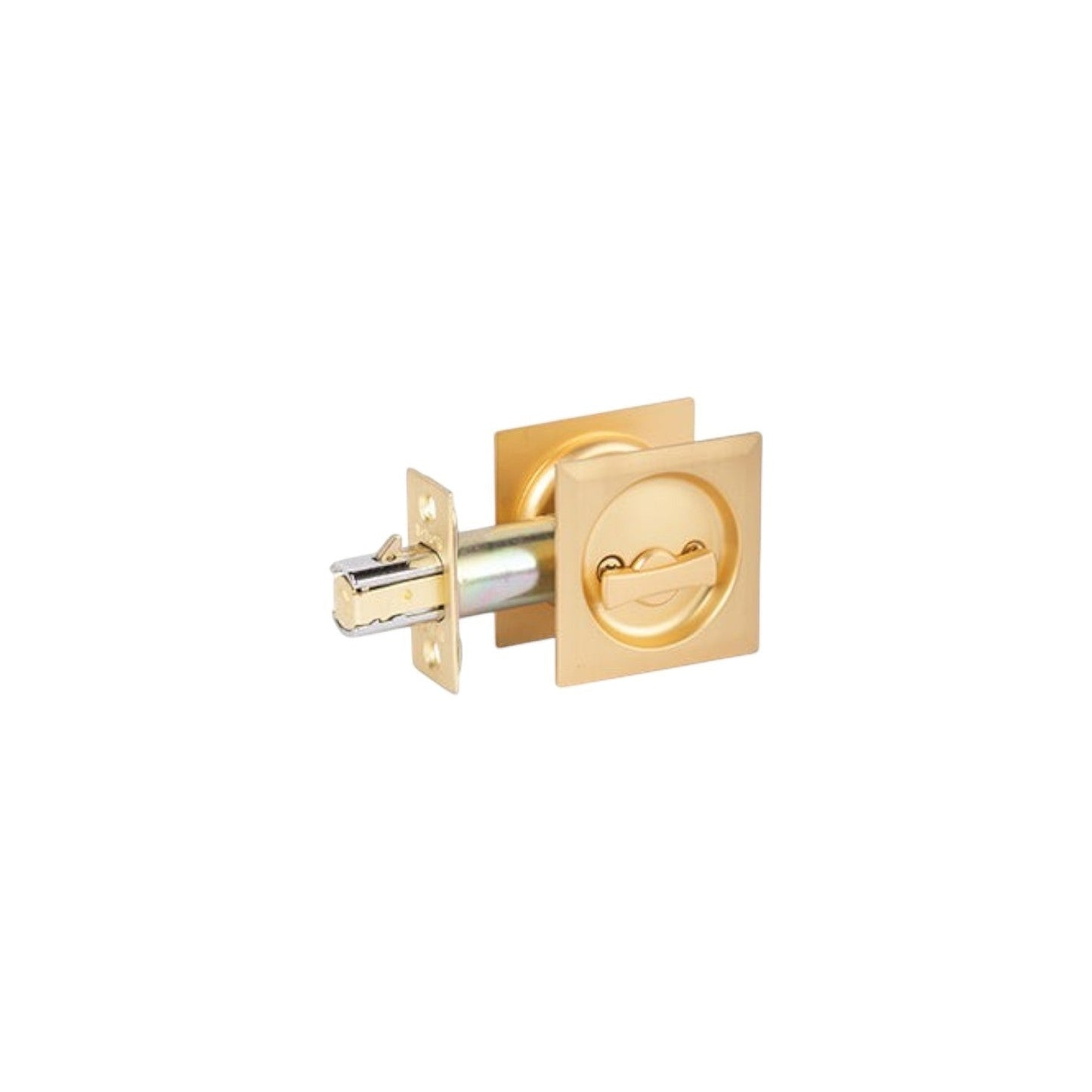 Cavity Door Lock
