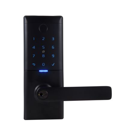Gainsborough Mode Smart Entrance Lock